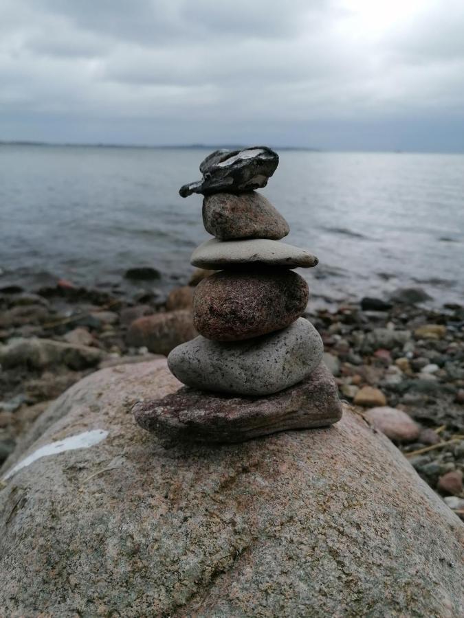 Ferienwohnung“Puutalossa“ Sehlen Luaran gambar